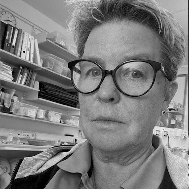 Torill Andersen